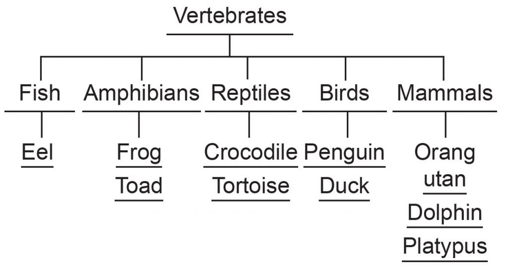 Formative Practice 1.2 - Science Form 2 Chapter 1 - Science Form 1, 2 & 3