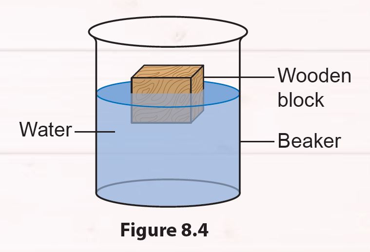 Activity 8.1 - Science Form 2 Chapter 8 - Science Form 1, 2 & 3